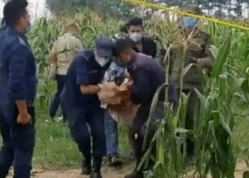 चार दिनदेखि हराएकी बालिकाको शव मकैबारीमा फेला