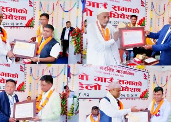 भाेक्राहा नरसिंहमा उत्कृष्ट काम गर्ने कर्मचारी सम्मानित