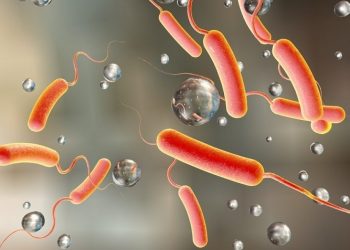 उपत्यकामा देखियो १२ जनामा हैजाको संक्रमण।