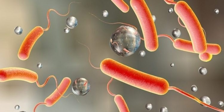 उपत्यकामा देखियो १२ जनामा हैजाको संक्रमण।