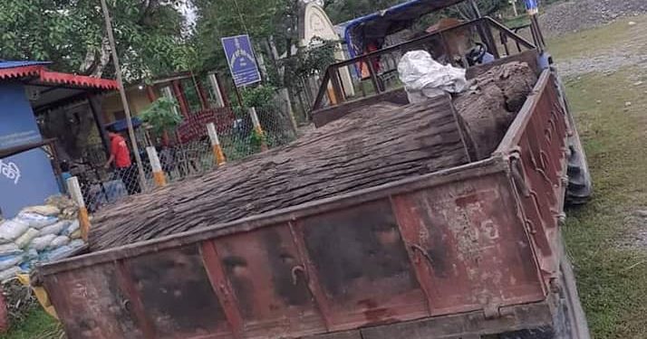 बराहक्षेत्रबाट अवैध गोलिया बरामद