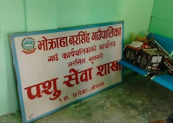 कर्मचारीको चरम लापर्वाही