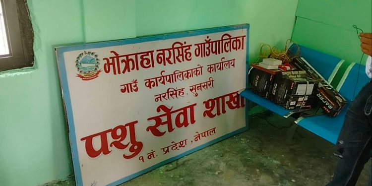 कर्मचारीको चरम लापर्वाही