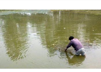 रामधुनी नगरपालिकाले सार्वजनिक पोखरीको संरक्षण गरि व्यवसायिक माछा पालन गर्ने