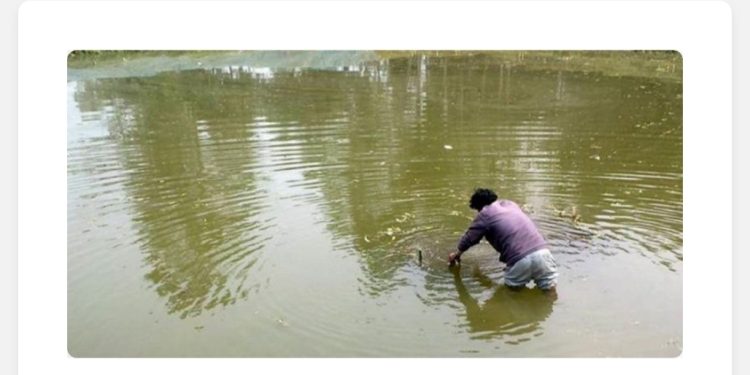 रामधुनी नगरपालिकाले सार्वजनिक पोखरीको संरक्षण गरि व्यवसायिक माछा पालन गर्ने