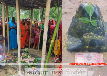 नरसिंहमा भेट्याे शिवलिंग