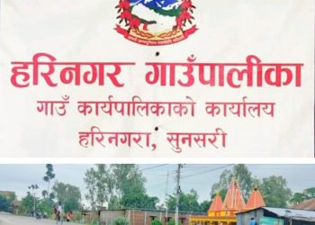 हरिनगर गाउँपालिकाले  छ वर्षमा ४५ किलोमिटर सडक कालोपत्रे 
