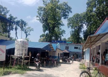 वराहक्षेत्र नगरमा डेङ्गु परीक्षण निःशुल्क