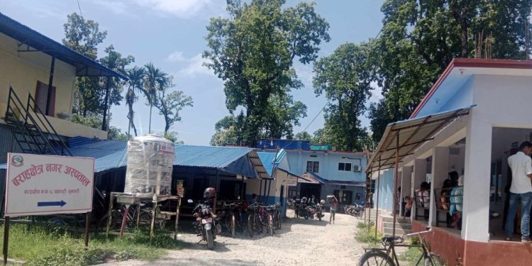 वराहक्षेत्र नगरमा डेङ्गु परीक्षण निःशुल्क