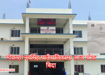भाेक्राहा नरसिंह गाउँपालिकामा आज शाेक बिदा