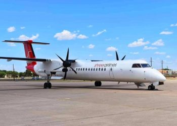 श्री एयरको विमानसँग ठोक्किएको परेवा फेला, सञ्चालनमा आयो विमानस्थल