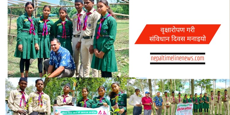 वृक्षारोपण गरी संविधान दिवस मनाइयो