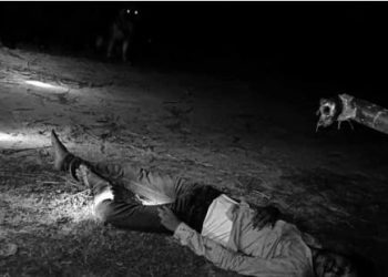 खस्कियो मधेश प्रदेशको सुरक्षाः बारामा गोली हानेर फेरि हत्या