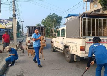 इनरुवामा कुकुर बन्ध्याकरण सुरु