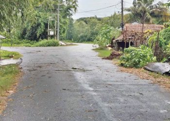 कोशी गाउँपालिकाका सबै वडाको सडक कालोपत्रे