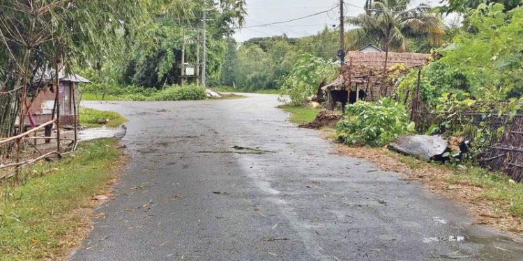कोशी गाउँपालिकाका सबै वडाको सडक कालोपत्रे