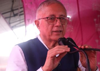 सरकारले रोजगारी सिर्जना गर्न सकेन : डा. कोइराला