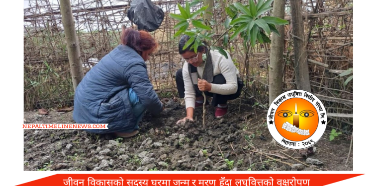 जीवन विकास सदस्यको घरमा जन्म र मरण हुँदा लघुवित्तको वृक्षरोपण