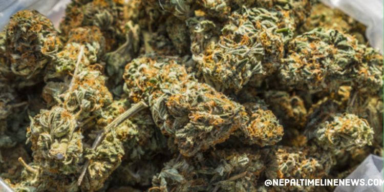 एक सय २२ केजी गाँजा बरामद