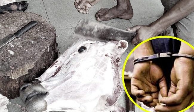 इनरुवामा गाई—गारु काट्ने रङेहात पक्राउ