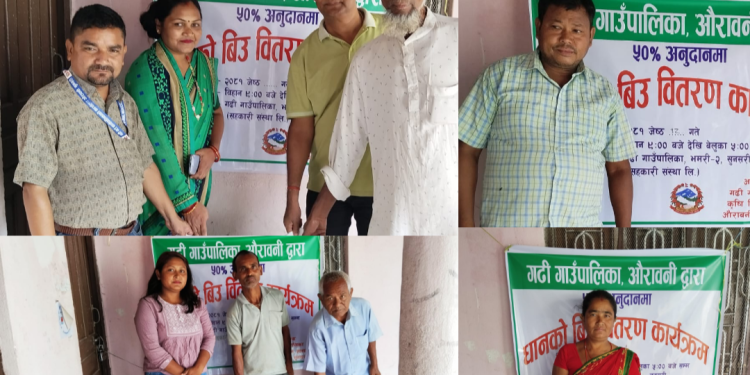 गढी गाउँपालिकामा किसानहरूलाई उन्नत जातका धान बीउ वितरण