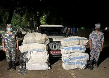 सुनसरीमा २३८ किलो अबैध गाँजा बरामद