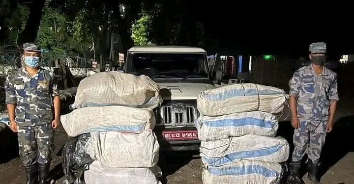 सुनसरीमा २३८ किलो अबैध गाँजा बरामद