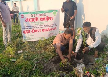 नेपाली कांग्रेस भोक्राहा नरसिंहले १११ औं वीपी कोइरालाको जन्म जयन्ती मनायो