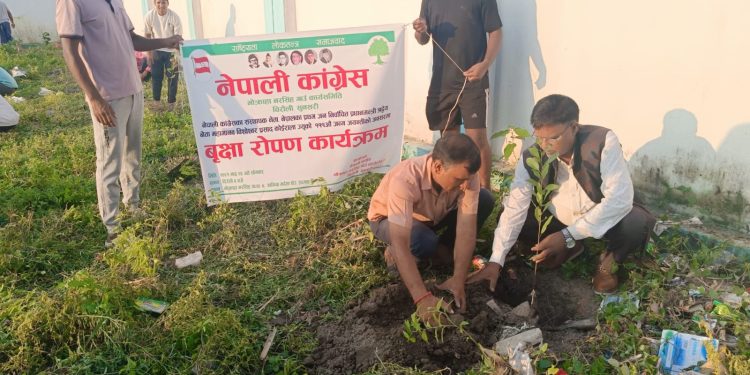 नेपाली कांग्रेस भोक्राहा नरसिंहले १११ औं वीपी कोइरालाको जन्म जयन्ती मनायो