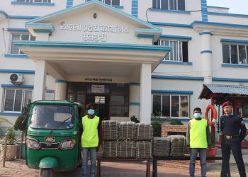 सुनसरीमा १०७ किलो गाँजासहित दुईजना पक्राउ