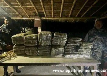 सशस्त्र प्रहरीले वराहक्षेत्रबाट ९७ केजी अवैध गाँजा बरामद