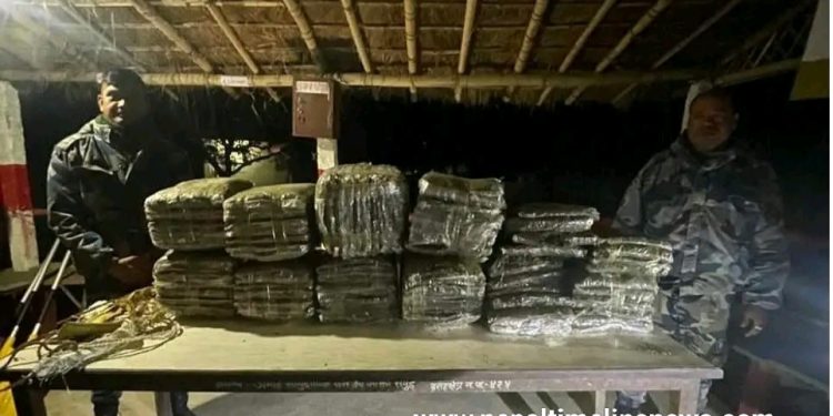 सशस्त्र प्रहरीले वराहक्षेत्रबाट ९७ केजी अवैध गाँजा बरामद