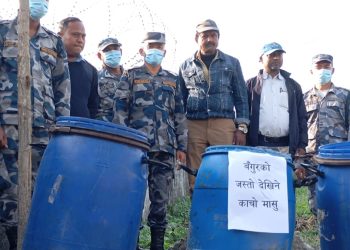 सुनसरीमा शंकास्पद बंगुरको मासु बरामद, सशस्त्र प्रहरीद्वारा नष्ट