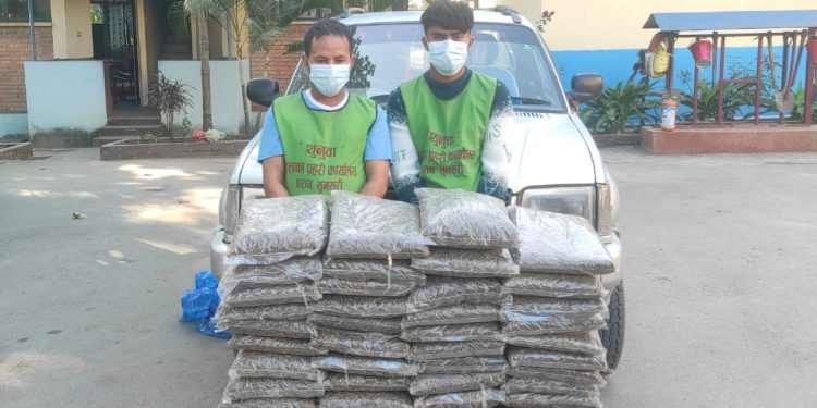 धरानबाट ३७ किलो गाँजासहित दुई जना पक्राउ