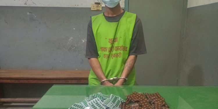 धरानबाट लागू औषध ट्रामाडोल- ४०४ क्याप्सुल सहित एक व्यक्ति पक्राउ