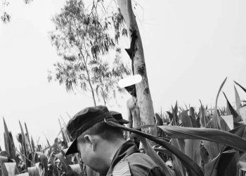 प्रेमीकाको बिहे अरूसँग भएपछि हरिनगरमा युवकको आत्महत्या