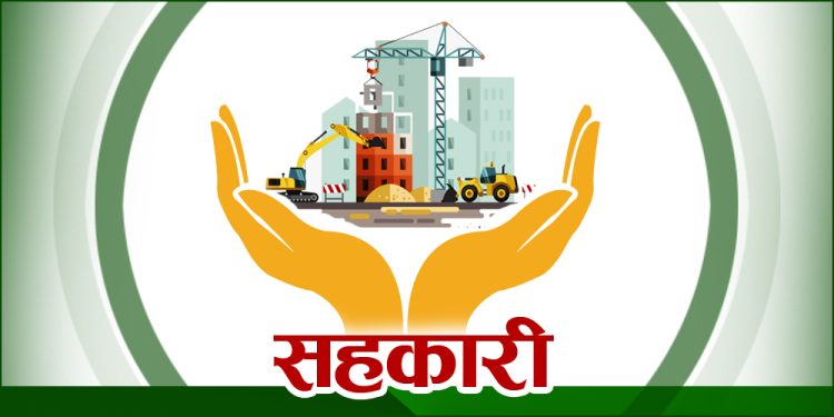 सहकारीले फेरेको जीवन : जो जिरोबाट हिरो बने