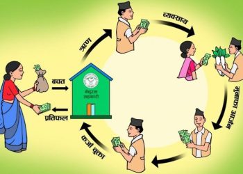 सहकारी सदस्य, बचतकर्ता र ऋणीको साझा जिम्मेवारी : कस्तो कुरामा ध्यान दिने?