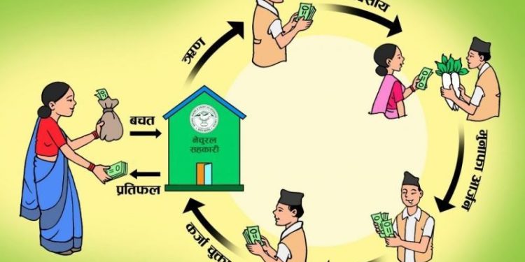 सहकारी सदस्य, बचतकर्ता र ऋणीको साझा जिम्मेवारी : कस्तो कुरामा ध्यान दिने?